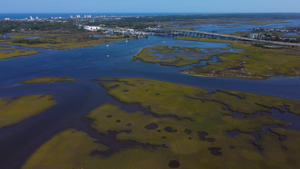 challenges-of-landscape-design-in-flood-prone-areas