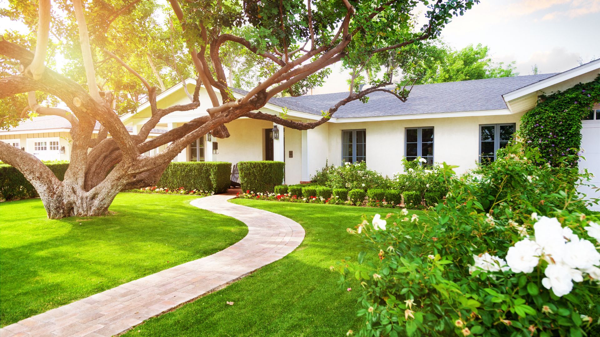 small front yard landscaping